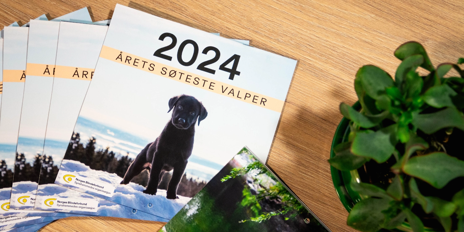 Norges Blindeforbund – kalender 2024